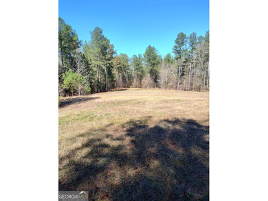 Hunter's Dream....53 acres of the most peaceful forest until the - photo 11