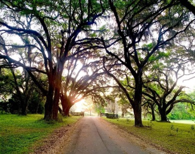 Lake Acreage Off Market in Madison County, Florida