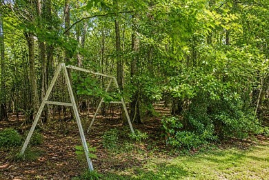 Welcome to 509 Pooshee Plantation Way, where endless - photo 28
