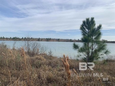 (private lake, pond, coastal) Acreage For Sale in Summerdale Alabama