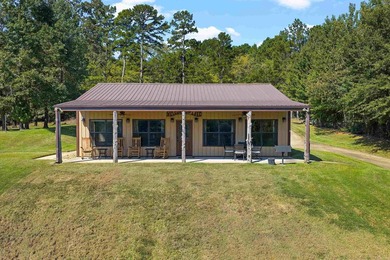 Why stop at one lake house when you can have double the dock fun - photo 22