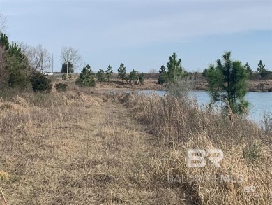 This is an opportunity to own a versatile piece of property in - photo 3