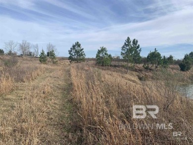 This is an opportunity to own a versatile piece of property in - photo 4
