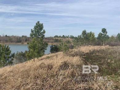 This is an opportunity to own a versatile piece of property in - photo 7