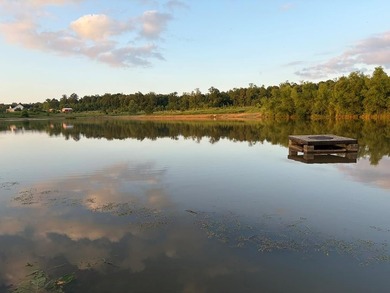 Just off Hwy 6 on County Road 251 in Lafayette County 15 miles - photo 1