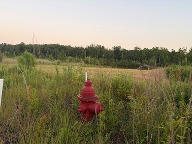 Just off Hwy 6 on County Road 251 in Lafayette County 15 miles - photo 2