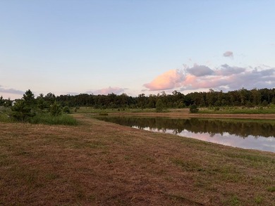 Just off Hwy 6 on County Road 251 in Lafayette County 15 miles - photo 4