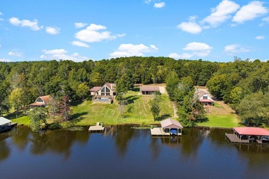 Why stop at one lake house when you can have double the dock fun - photo 35