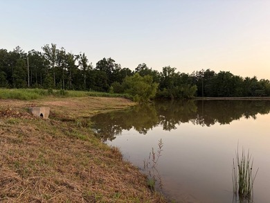 Just off Hwy 6 on County Road 251 in Lafayette County 15 miles - photo 5