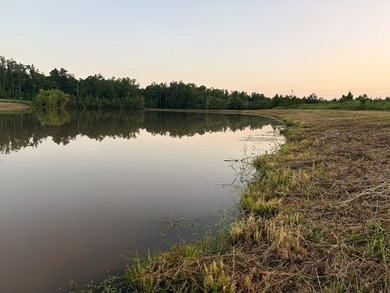 Just off Hwy 6 on County Road 251 in Lafayette County 15 miles - photo 7