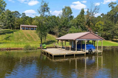 Why stop at one lake house when you can have double the dock fun - photo 38