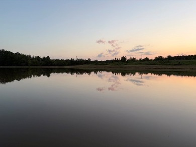 Just off Hwy 6 on County Road 251 in Lafayette County 15 miles - photo 8