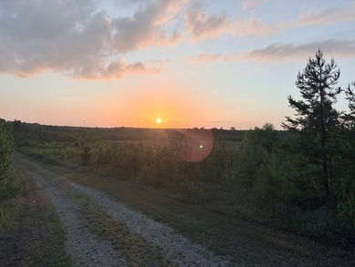 Just off Hwy 6 on County Road 251 in Lafayette County 15 miles - photo 10