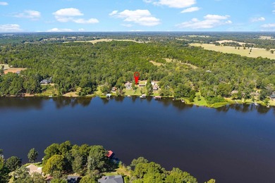Why stop at one lake house when you can have double the dock fun - photo 41
