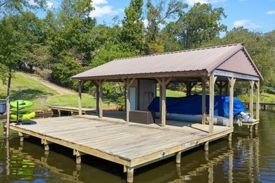 Why stop at one lake house when you can have double the dock fun - photo 42