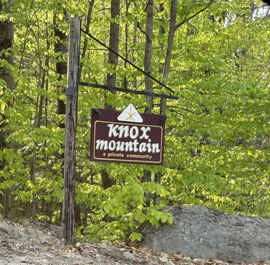 (private lake, pond, creek) Lot For Sale in Ossipee New Hampshire