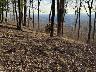 Nestled in the mountains just minutes from Greenville, SC, make - photo 1