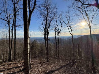 Nestled in the mountains just minutes from Greenville, SC, make - photo 2