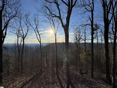 Nestled in the mountains just minutes from Greenville, SC, make - photo 3