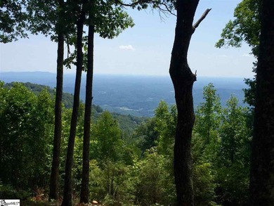 Nestled in the mountains just minutes from Greenville, SC, make - photo 4