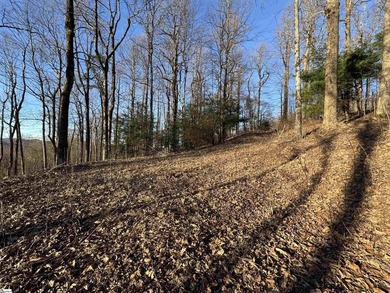 Nestled in the mountains just minutes from Greenville, SC, make - photo 5