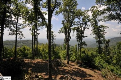 Nestled in the mountains just minutes from Greenville, SC, make - photo 6