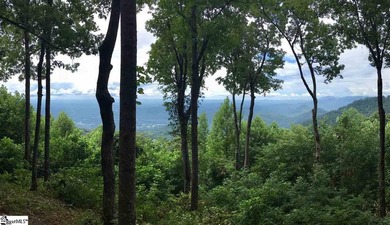 Nestled in the mountains just minutes from Greenville, SC, make - photo 7