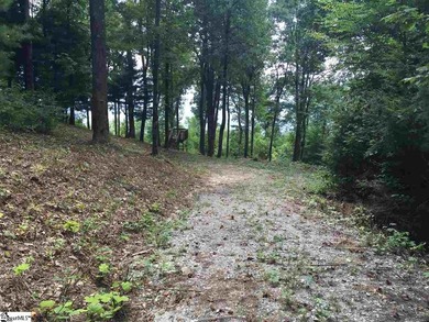 Nestled in the mountains just minutes from Greenville, SC, make - photo 8
