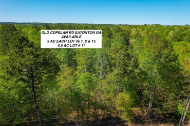 Lake Lot For Sale in Eatonton, Georgia