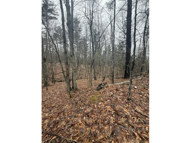 Lovely level wooded lot overlooking a ravine. Quiet, peaceful - photo 11