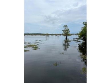  Lot For Sale in Campti Louisiana