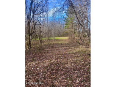 6.1+/- acres in Madison County, MS, located just off Ratliff - photo 11