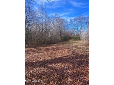6.1+/- acres in Madison County, MS, located just off Ratliff - photo 12