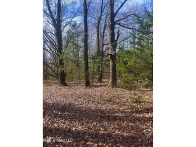 6.1+/- acres in Madison County, MS, located just off Ratliff - photo 13