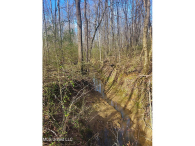 6.1+/- acres in Madison County, MS, located just off Ratliff - photo 14