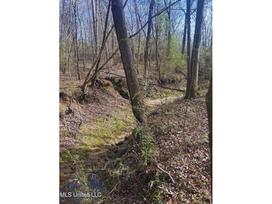 6.1+/- acres in Madison County, MS, located just off Ratliff - photo 15