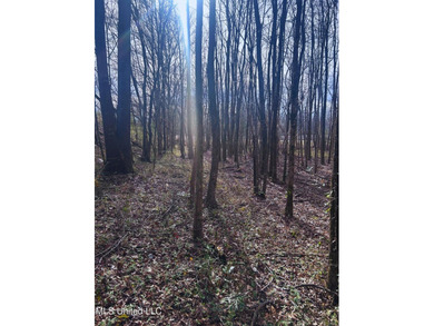 6.1+/- acres in Madison County, MS, located just off Ratliff - photo 16