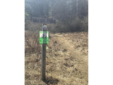 Lovely level wooded lot overlooking a ravine. Quiet, peaceful - photo 17
