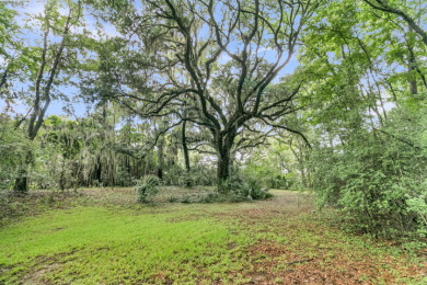 2.36 Acre Lowcountry Estate with Marsh and River Views - photo 26