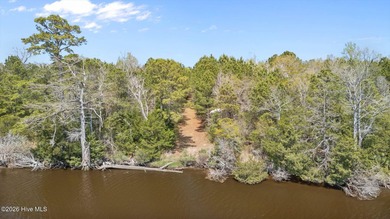 This exceptional undeveloped acreage offers a rare combination - photo 1