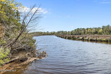 This exceptional undeveloped acreage offers a rare combination - photo 4