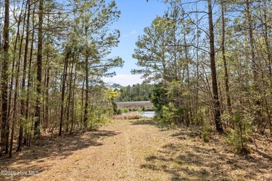 This exceptional undeveloped acreage offers a rare combination - photo 6