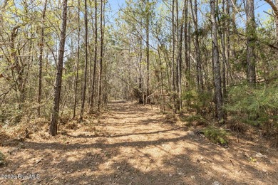 This exceptional undeveloped acreage offers a rare combination - photo 7