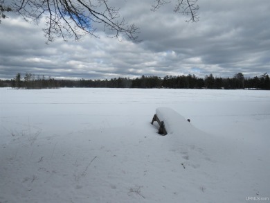 Lake Acreage For Sale in Iron River, Michigan