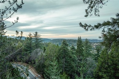 24032 Skyland - photo 29