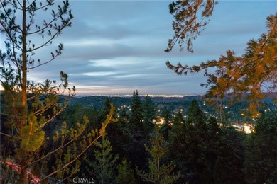24032 Skyland - photo 30