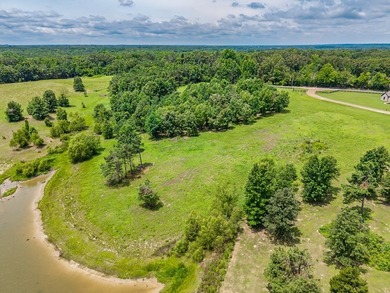 Build your home overlooking this lake! Lots of frontage on - photo 2