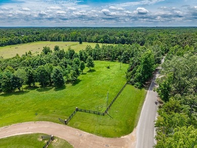 Build your home overlooking this lake! Lots of frontage on - photo 7