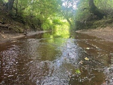 Embrace a rare opportunity to own a multi-generational farm in - photo 2
