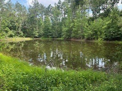 Embrace a rare opportunity to own a multi-generational farm in - photo 3